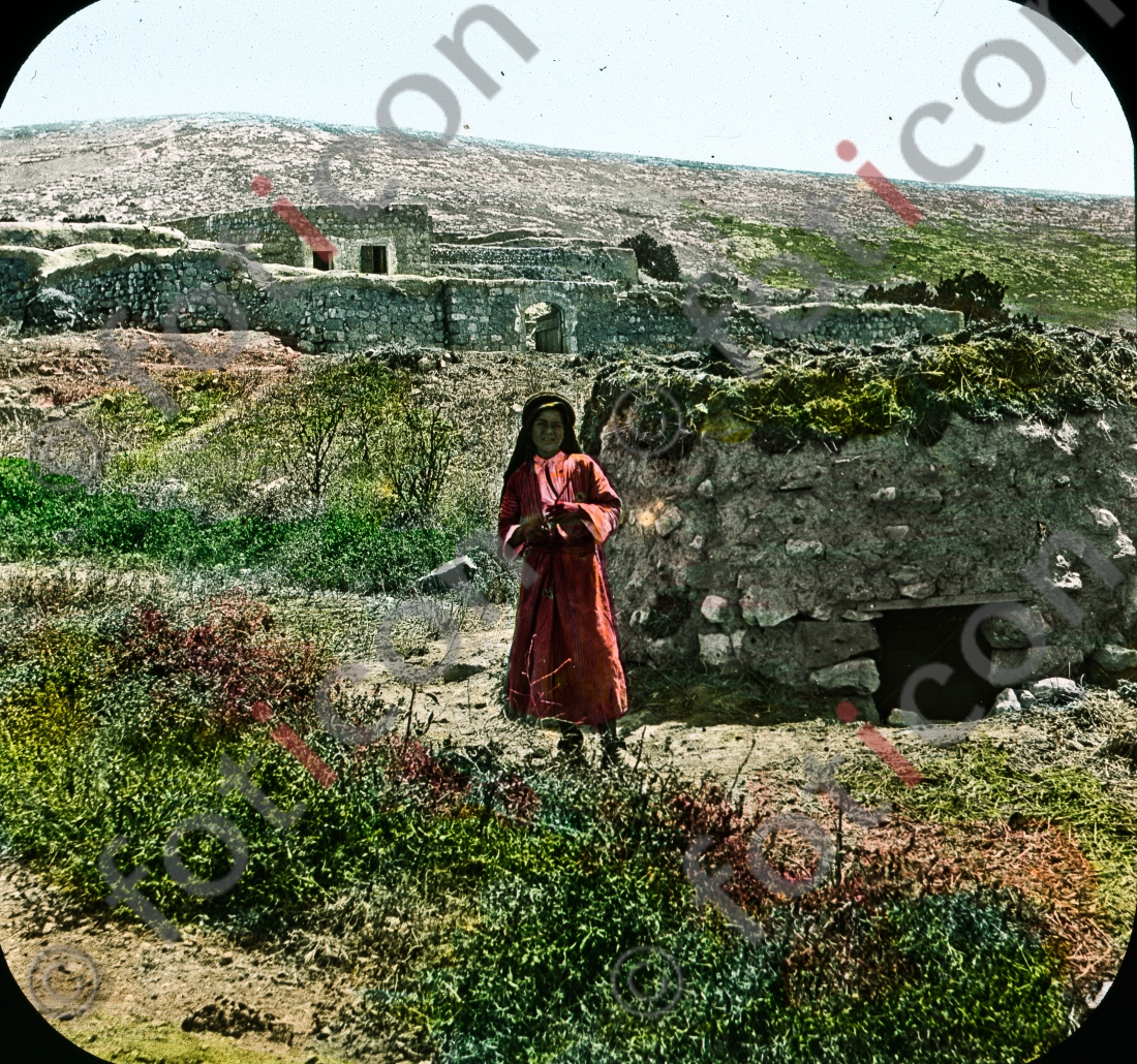 Hirten in Palästina | Shepherds in Palestine (foticon-simon-054-063.jpg)